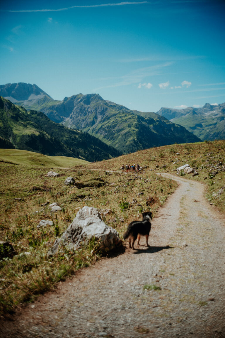 Wandern mit Jürgen